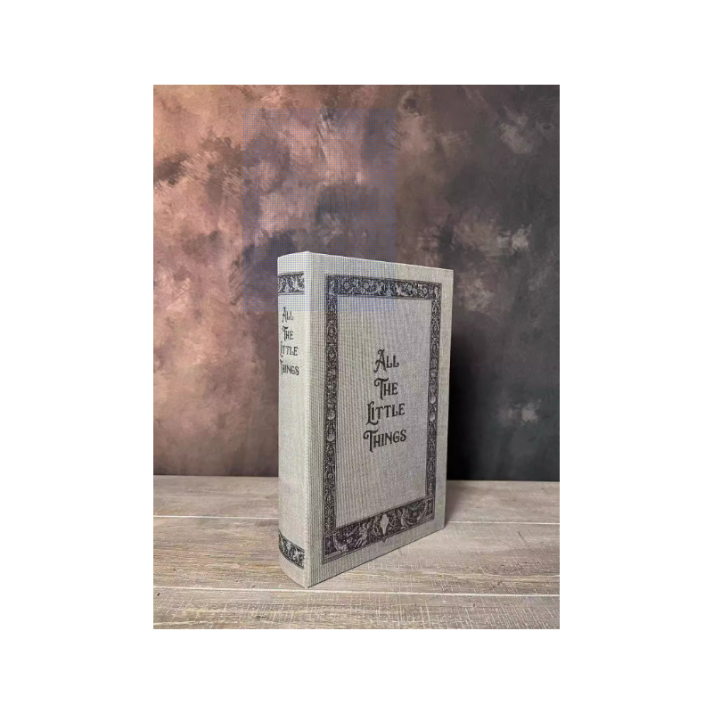 Linen Imitation Book Remote Control Organiser