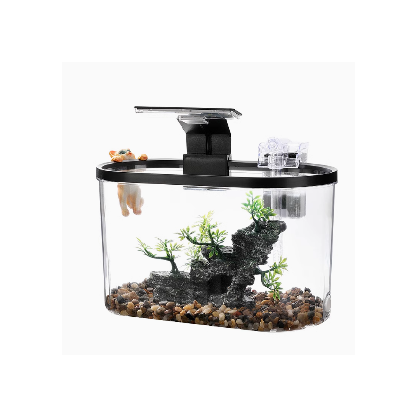 Oval Desktop Aquascape Eco Fish Tank with Lights